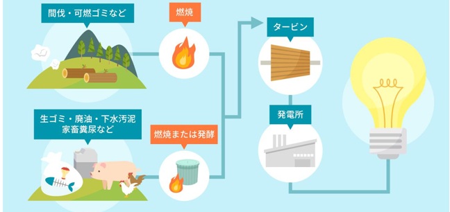 バイオマス発電の仕組み