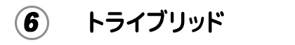 エコ発電本舗人気No6